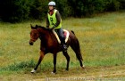 Sept 29th 2012: CEI**130km IN NEGREPELISSE  FOR AMEN DE GHAZAL AND CRISTINA - Arabian Horses