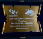 Jan 18th 2014: Lombardian Endurance Awards. - Arabian Horses